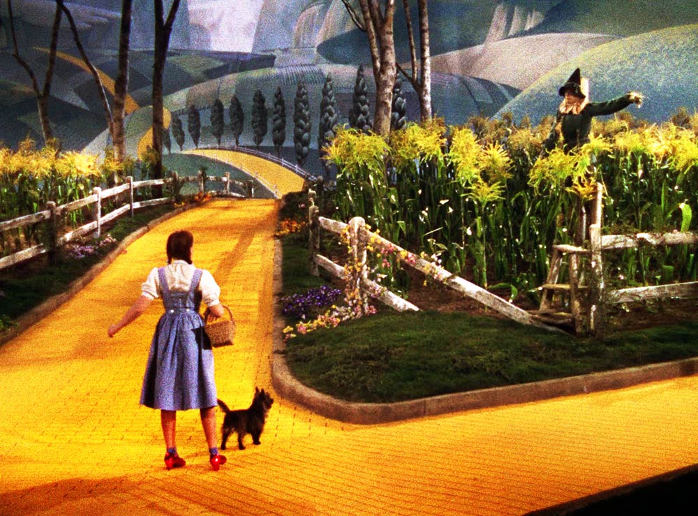Following the Yellow Brick Road to a successful international career