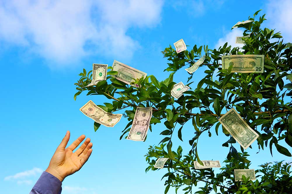 hand reaching for dollar bills on a money tree