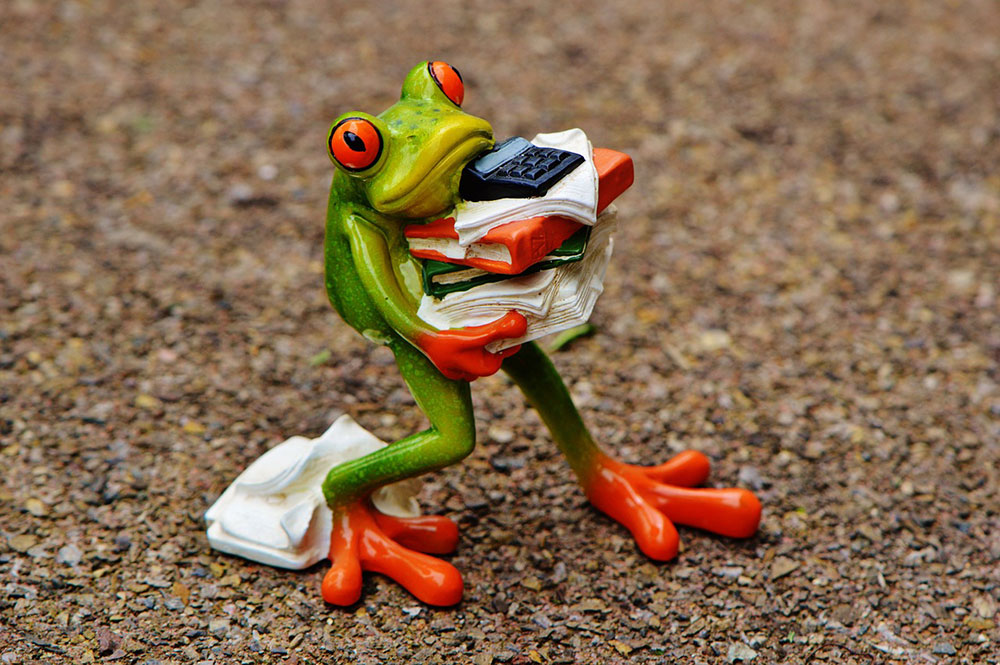 Frog figurine balancing stack of paperwork and calculator