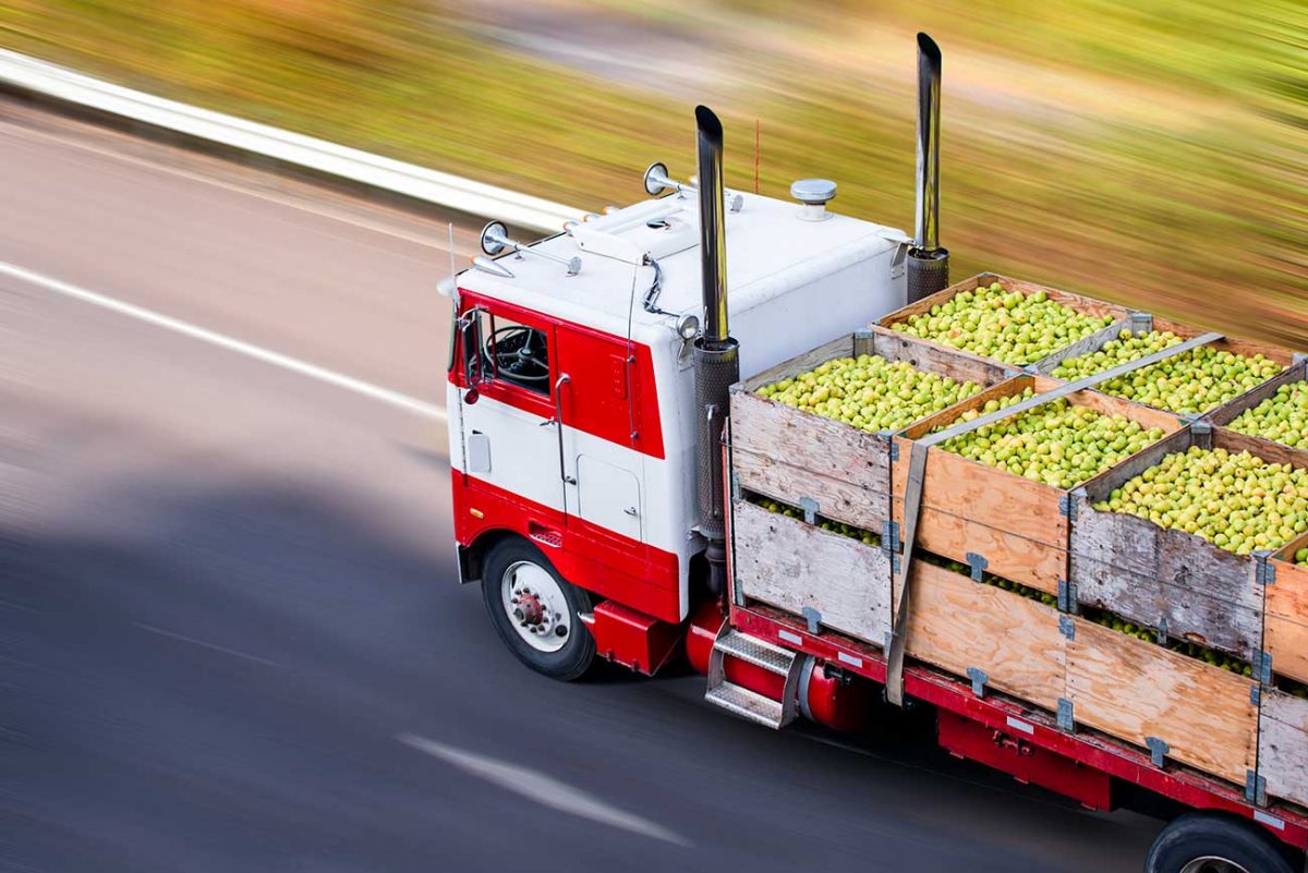 Transport truck full of pears