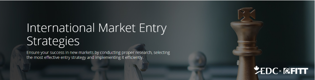 International market entry strategies course