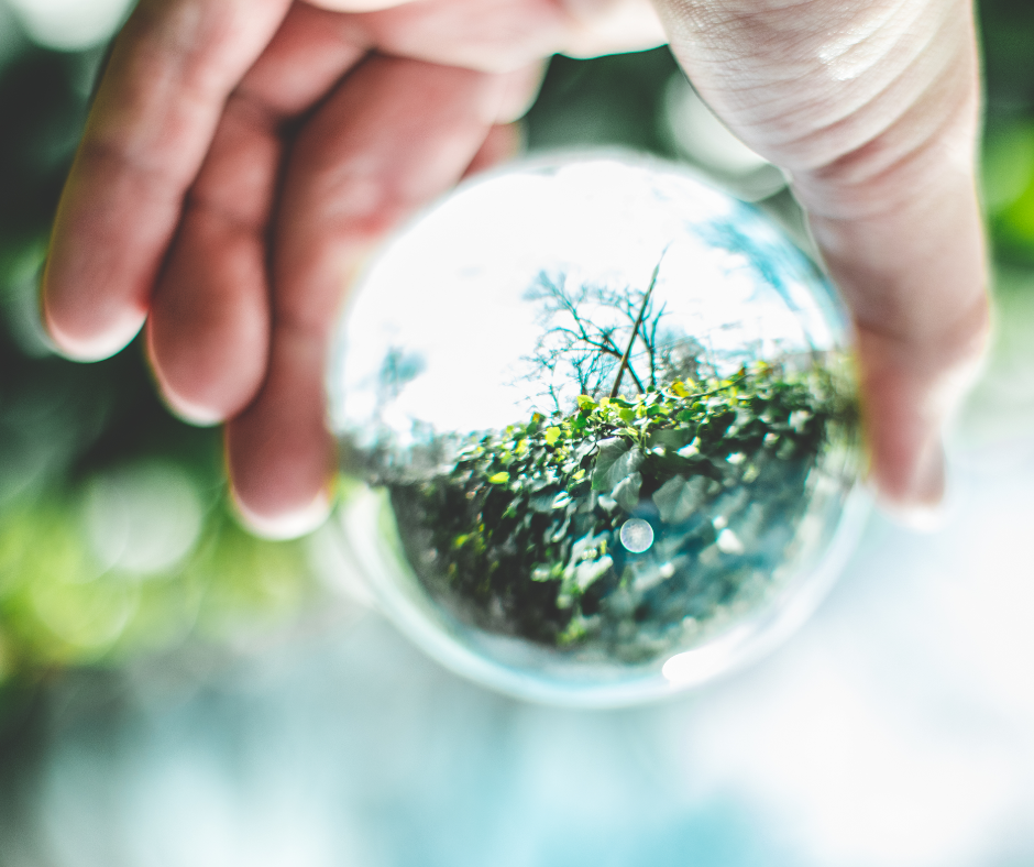 image shows hand holding glass ball reflecting nature - suggesting the work that cleantech ventures do